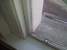 fkillineybeforeinternal 1545.jpg